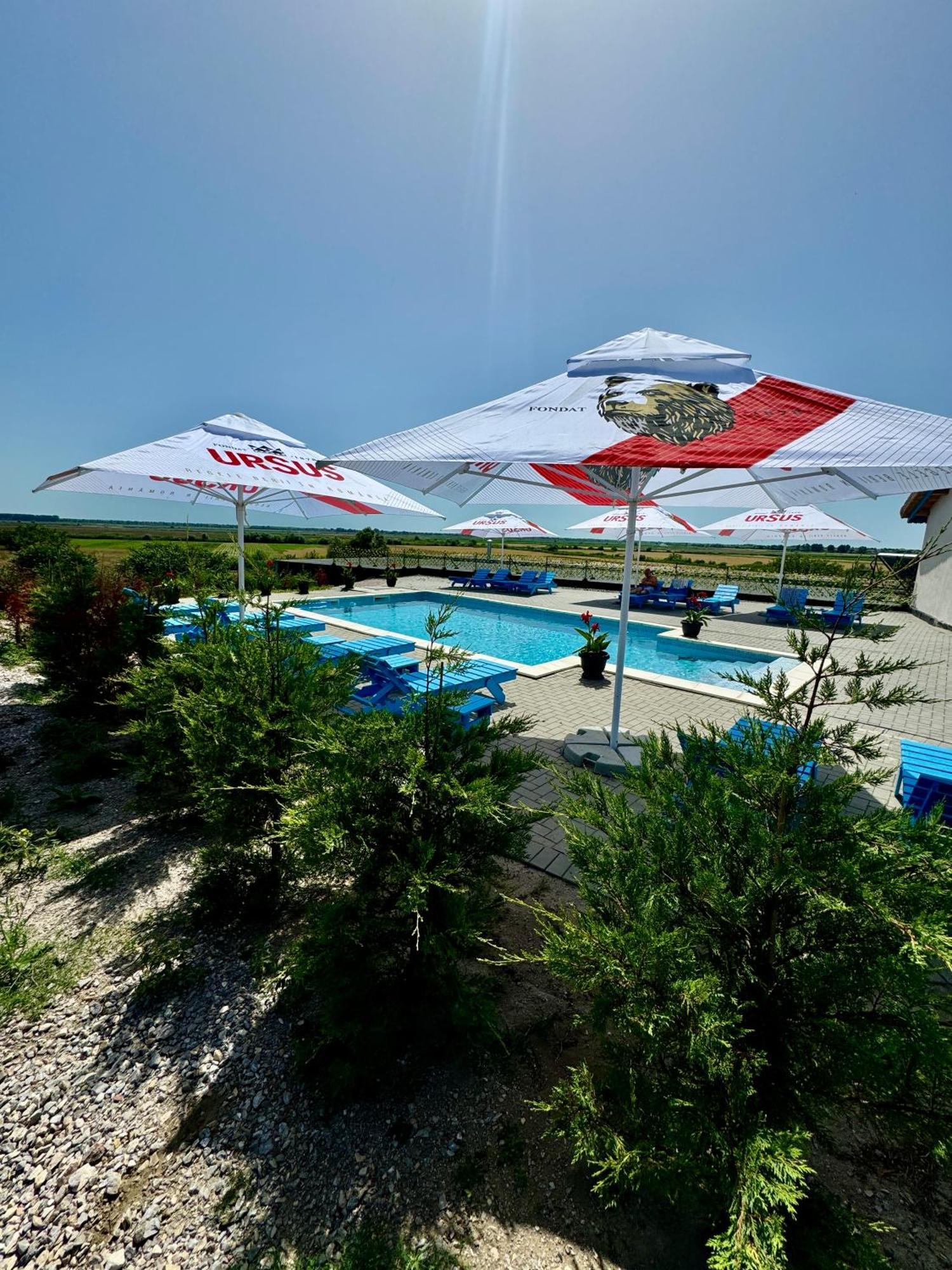 Danube Delta View Hotel Dunavăţu de Jos Exterior foto
